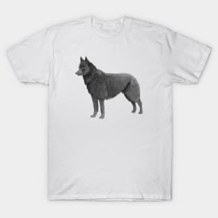 Schipperke T-Shirt